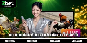 Mẹo Cược Đá Gà
